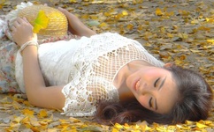 日韩欧美高清色码